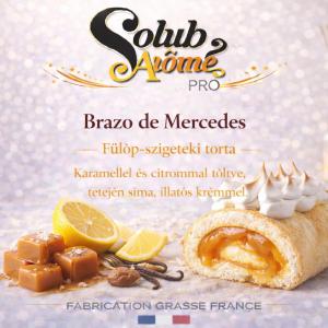 ( 115.-) Solub - Brazo de Mercedes ( Premium ) - ( Francia krémes,Filippínó mórdra )10ml