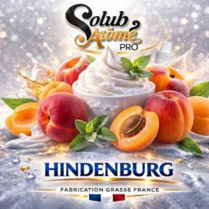 ( 135.-) Solub - Hindenburg 10ml