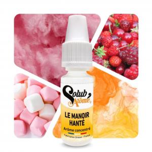 ( 206.-) Solub - Le Manoir Hanté 10ml