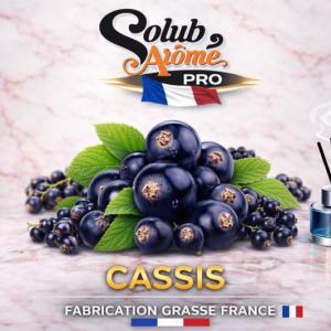 ( 307.-) Solub - Cassis 10ml
