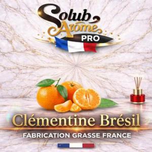 ( 308.-) Solub - Clémentine Brésil 10ml