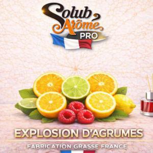 ( 314.-) Solub-Explosion d Agrumes 10ml