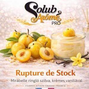 ( 316.-) Solub Rupture de Stock 10ml