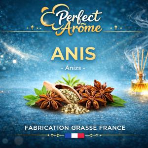 ( 332.-)   By Solub - Perfect - Anis 10ml