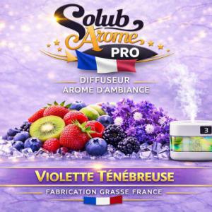 ( 343.-) Solub Violette Ténébreuse 10ml