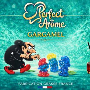 ( 364.-)    By Solub - Perfect  - Gargamel  10m