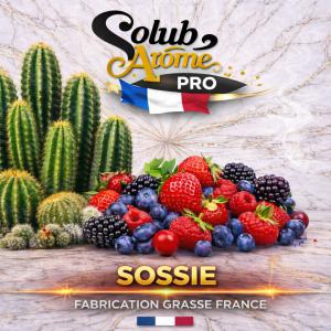 ( 403.-) Solub - Sosie 10ml