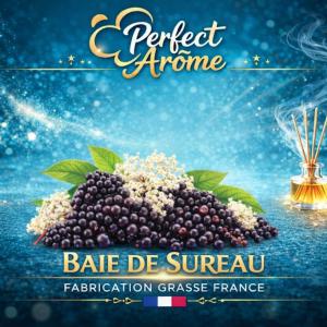 ( 405.-) By Solub - Perfect - Baie de Sureau 10ml
