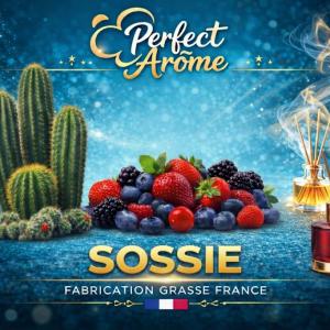 ( 408.-) By Solub - Perfect - Sosie 10ml