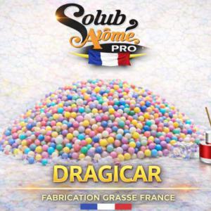 ( 408.-) Solub - Dragicar 10ml