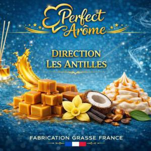 ( 409.-) By Solub - Perfect - Direction Les Antilles 10ml