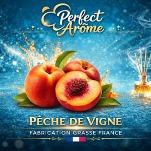 ( 419.-) By Solub - Perfect - Péche de Vigne 10ml
