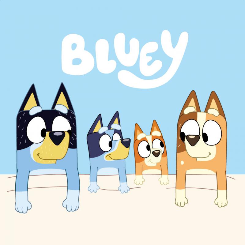 Bluey Cozy kéztörlő  arctörlő  törölköző 30x30cm