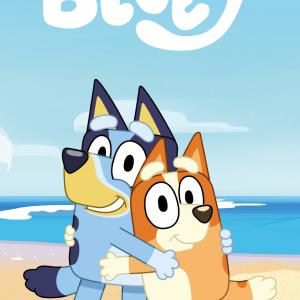 Bluey Cozy kéztörlő   arctörlő   törölköző 30x50cm