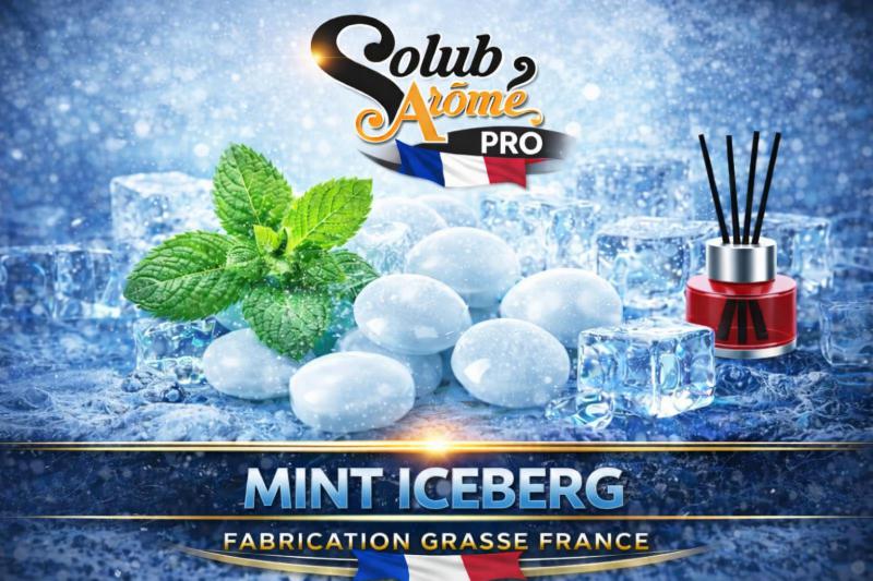 ( 201.-) Solub - Mint Iceberg 10ml