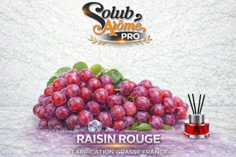 ( 288.-) Solub - Raisin Rouge 10ml