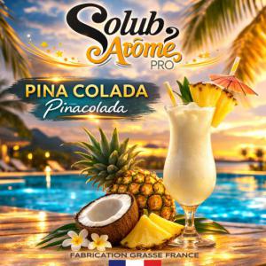 ( 231.-) Solub - Pina Colada 10ml