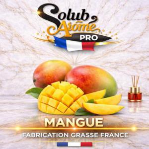 ( 233.-) Solub - Mangue 10ml