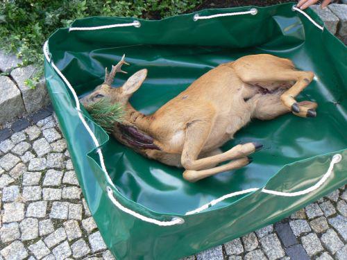 vérzsák csomagtartóba-vadszállítóponyva