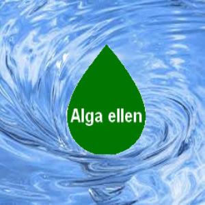 Alga elleni szerek