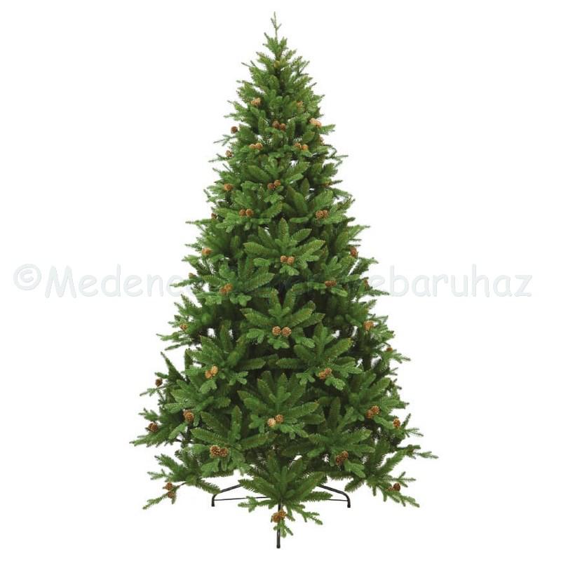 Conifer 210 cm