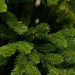 Canadian Classic műfenyő 240 cm