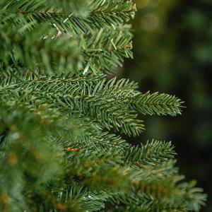 Carpatian műfenyő 180 cm
