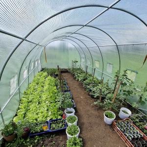 Fóliasátor 3 x 6 m váz+fólia