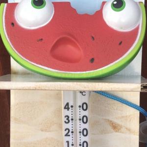 Hőmérő - tutti frutti