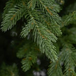 Lucfenyő prémium műfenyő 210 cm