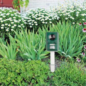 Napelemes ultrahangos riasztó MULTI PLUS