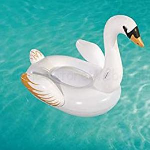 Rider - hattyú 122 x 122 cm