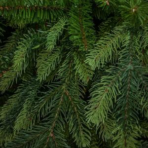 Swiss Premium műfenyő 180 cm