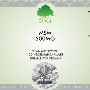 MSM 500MG 120 KAPSZULA (G&G)