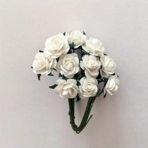 Beszúrók, papírvirág, termések