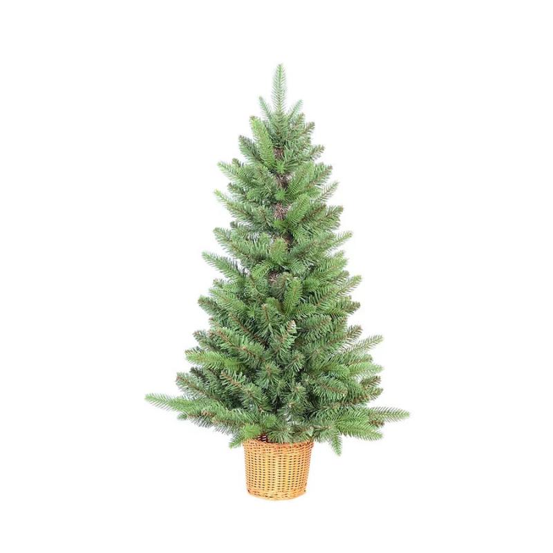 Douglas - műfenyő 90 cm