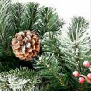 Girland Winter 270 cm