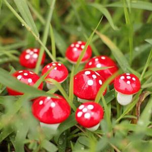 Gomba beszúró 2 x 1,5 cm