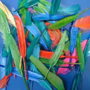 Indián toll 8-15 cm vegyes színek 100 db - gazdaságos kiszerelés