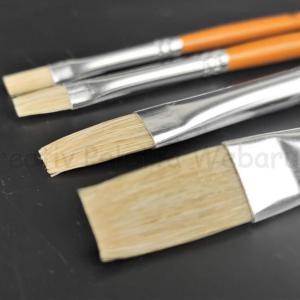 Kemény sörtéjű laposecset 18 - Südor