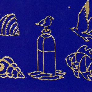 Kontúrmatrica - kagylók, tengeri élőlények