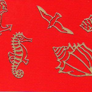 Kontúrmatrica - kagylók, tengeri élőlények