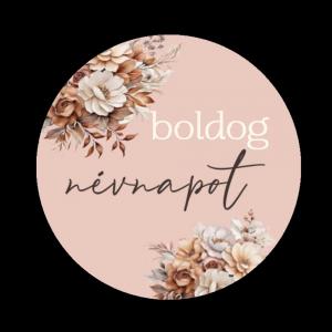 Matrica - Boldog névnapot 15 db - 3 forma