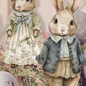 Nyomtatott dekorkarton - nyuszi pár