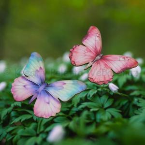 Nyomtatott dekorkarton - pillangók 4 db