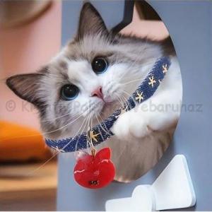 Professzionális szilikon öntőforma - nyakörv biléták, kulcstartó