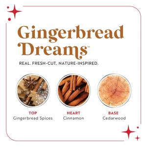 ScentSicles illatpálca 6 db - Mézeskalács Gingerbread Dreams