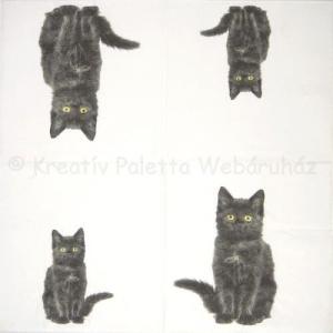 Szalvéta - fekete macska
