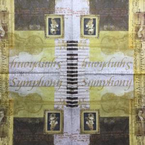 Szalvéta - hegedű szimfónia - Symphony Violin