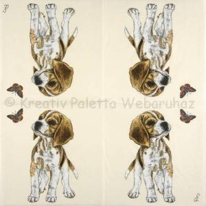 Szalvéta - kutya Beagle